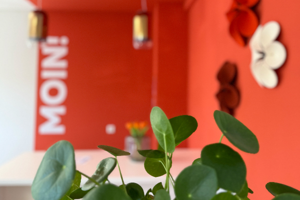 Showroom_600x400_1